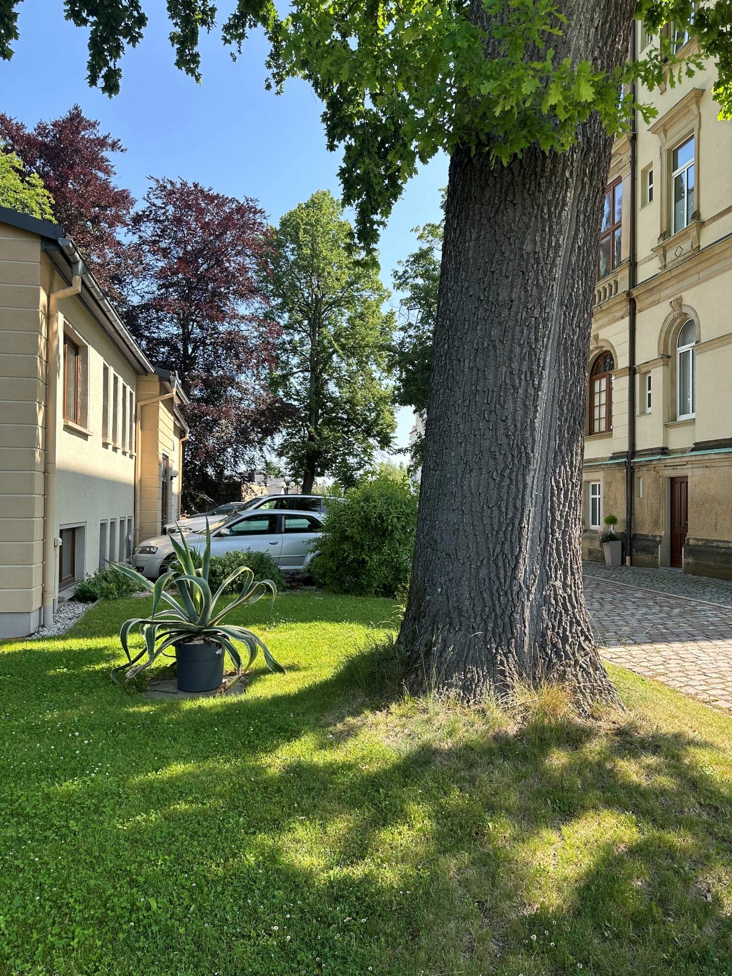 Neu in Thalheim: Tagespflege „Neukirchner Villa“